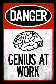 Warning Sign Danger Genius At Work Red Black Textured Cool Wall Decor Art Print Poster 16x24