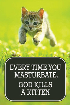Every Time You Masturbate God Kills a Kitten Humor Cool Wall Decor Art Print Poster 16x24