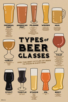 Types of Beer Glasses and Styles of Beer Reference Guide Chart Home Bar Decor Pub Decor IPA Beer Mug Pint Glass Beer Sign Porter Stout Ale Beer Stein Brewing Cool Wall Decor Art Print Poster 16x24