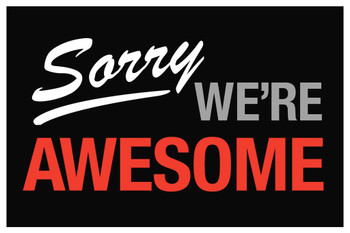 Sorry Were Awesome Sign Cool Wall Decor Art Print Poster 16x24