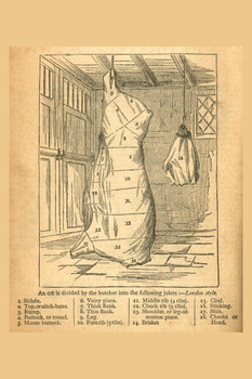 Jointing an Ox London Style Victorian Butchers Diagram Illustration Cool Wall Decor Art Print Poster 16x24