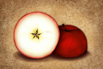 Apple by Brigid Ashwood Cool Wall Decor Art Print Poster 16x24