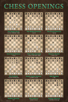 Chess Openings Game Room Decor Chart Moves Defense Cool Wall Decor Art Print Poster 16x24