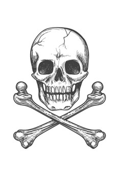Skull Bones Crossbones Detailed Artistic Drawing Poster Black White Sketch Pirate Flag Motif Human Skeleton Death Cool Wall Decor Art Print Poster 16x24