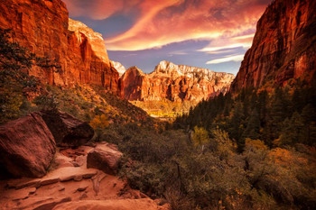 Zion Valley National Park Navajo Sandstone View Photo Photograph Cool Wall Decor Art Print Poster 24x16