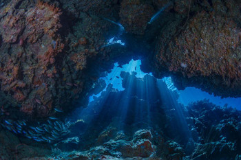 Sea Cave with God Rays Photo Photograph Cool Fish Poster Aquatic Wall Decor Fish Pictures Wall Art Underwater Picture of Fish for Wall Wildlife Reef Poster Cool Wall Decor Art Print Poster 24x16