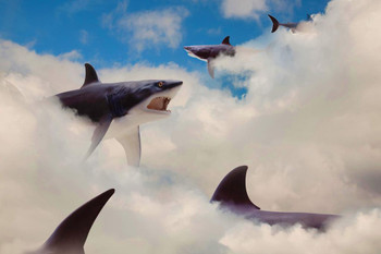 Sharks Floating in Clouds Fin Fantasy Shark Posters For Walls Shark Pictures Cool Great White Shark Picture Great White Shark Art Great White Shark Jaws Cool Wall Decor Art Print Poster 24x16