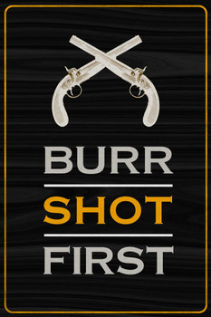 Aaron Burr Shot First Funny Cool Wall Art Print Poster 24x36