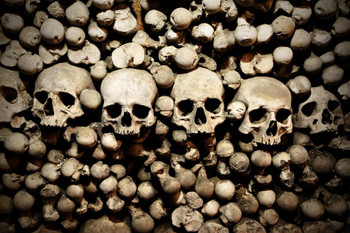 Skulls and Bones in Czech Republic Cemetery Grave Photo Photograph Cool Wall Decor Art Print Poster 24x16