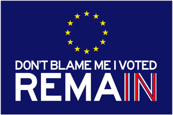 Dont Blame Me I Voted Remain Political Cool Wall Decor Art Print Poster 16x24