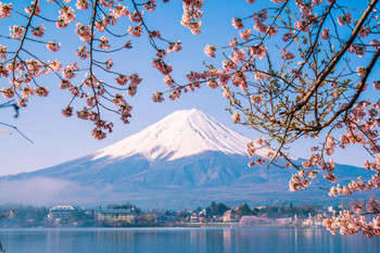 Mount Fuji and Cherry Blossoms Photo Photograph Cool Wall Decor Art Print Poster 16x24