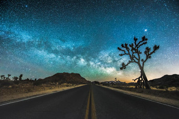 Laminated JT Road Joshua Tree National Park Starry Sky Photo Photograph Poster Dry Erase Sign 24x16