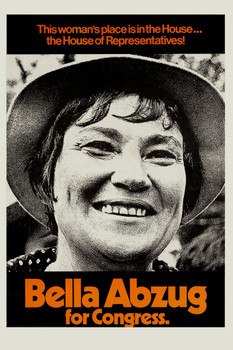 Laminated Bella Abzug For Congress Campaign Vintage Illustration Art Deco Vintage French Wall Art Nouveau 1920 French Advertising Vintage Poster Prints Art Nouveau Decor Poster Dry Erase Sign 16x24