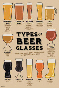 Laminated Types of Beer Glasses and Styles of Beer Reference Guide Chart Home Bar Decor Pub Decor IPA Beer Mug Pint Glass Beer Sign Porter Stout Ale Beer Stein Brewing Poster Dry Erase Sign 16x24