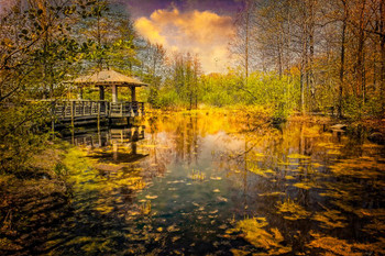 Laminated The Pond by Chris Lord Photo Photograph Poster Dry Erase Sign 16x24