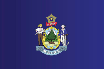 Laminated Maine State Flag Poster Dry Erase Sign 16x24