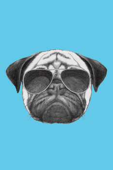 Laminated Cool Pug Dog With Sunglasses Puppy Posters For Wall Funny Dog Wall Art Dog Wall Decor Puppy Posters For Kids Bedroom Animal Wall Poster Cute Animal Posters Poster Dry Erase Sign 16x24