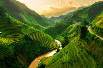 Laminated Terraced Rice Field in Mu Cang Chai Vietnam Photo Photograph Poster Dry Erase Sign 24x16