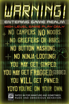 Laminated Warning Entering Game Realm Video Gaming Poster Dry Erase Sign 16x24