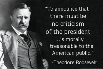 Laminated Theodore Roosevelt Criticism of the President Famous Motivational Inspirational Quote Poster Dry Erase Sign 16x24