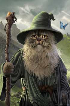 Laminated Catdalf Wizard Cat Animal Mashup by Vincent Hie Fantasy Cat Poster Funny Wall Posters Kitten Posters for Wall Funny Cat Poster Inspirational Cat Poster Poster Dry Erase Sign 16x24