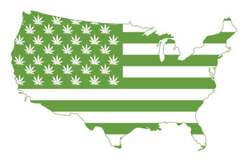 Laminated Marijuana Flag of United States of America Poster Dry Erase Sign 24x16