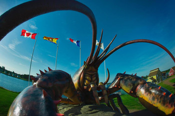 Laminated Worlds Largest Lobster Shediac New Brunswick Photo Photograph Poster Dry Erase Sign 24x16