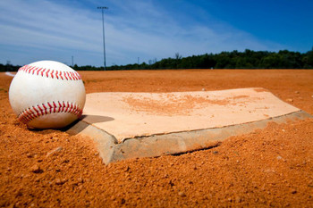 Laminated Baseball Sitting by Homeplate Photo Photograph Poster Dry Erase Sign 24x16