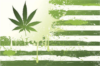 Laminated Marijuana States of America Flag Poster Dry Erase Sign 16x24