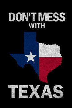 Dont Mess With Texas State Flag Flag Cool Wall Art Print Poster 24x36