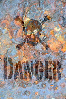 Laminated Danger Skull and Crossbones Warning Sign Poster Dry Erase Sign 16x24