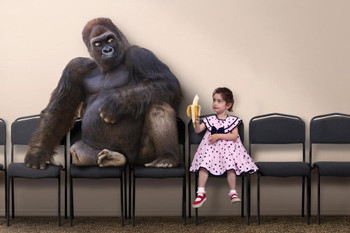 Laminated Little Girl Offering Banana to Gorilla Pictures Of Gorillas Poster Primate Poster Gorilla Picture Paintings For Living Room Decor Nature Wildlife Art Print Poster Dry Erase Sign 24x16