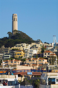 Laminated Coit Tower in San Francisco Photo Photograph Poster Dry Erase Sign 16x24