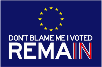 Laminated Dont Blame Me I Voted Remain Political Poster Dry Erase Sign 16x24