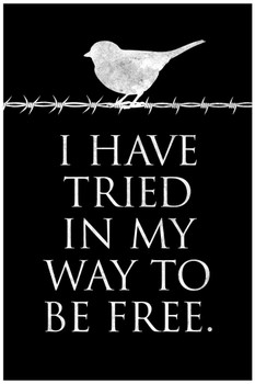 Laminated I Have Tried In My Way To Be Free Famous Motivational Inspirational Quote Poster Dry Erase Sign 16x24