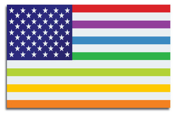 Laminated USA United States Rainbow Gay Lesbian Rights Flag Poster Dry Erase Sign 24x16