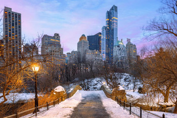 Laminated Manhattan New York City Skyline from Central Park Photo Photograph Poster Dry Erase Sign 24x16