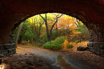 Laminated Through the Tunnel Autumn in Central Park NYC Photo Photograph Poster Dry Erase Sign 24x16