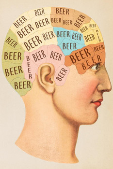 Laminated Beer Phrenology Head Funny Drinking Poster Dry Erase Sign 16x24