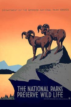 Laminated National Parks Preserve Wild Life Retro Vintage WPA Art Project Poster Dry Erase Sign 16x24