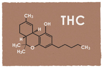 Laminated THC Marijuana Molecule Science Brown Chemistry Weed Cannabis Room Dope Gifts Guys Propaganda Smoking Stoner Reefer Stoned Sign Buds Pothead Dorm Walls Poster Dry Erase Sign 16x24