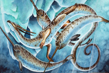 Laminated Icy Depths by Carla Morrow Dragon Narwhal Whales Swimming Under Arctic Ice Fantasy Poster Dry Erase Sign 16x24
