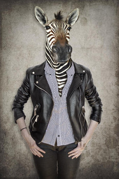 Laminated Zebra Head Wearing Human Clothes Wild Animal Mashup Funny Parody Animal Face Portrait Art Photo Poster Dry Erase Sign 16x24