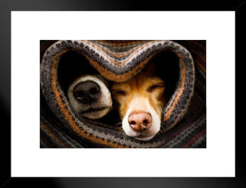 Dog Noses Sleeping In Blanket Closeup Cute Funny Animal Face Portrait Photo Matted Framed Wall Decor Art Print 20x26