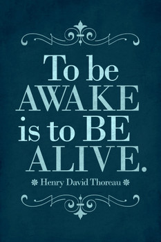 Henry David Thoreau To Be Awake Is To Be Alive Blue Cool Wall Art Print Poster 12x18