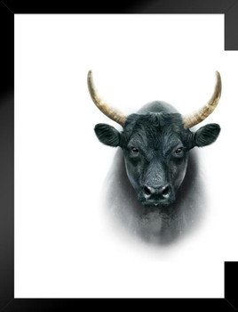 Black Camargue Bull Cow Face Portrait Farm Animal Closeup Photo Matted Framed Wall Decor Art Print 20x26
