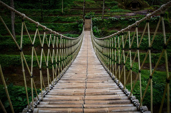 Laminated Suspension Bridge Rustic Wooden Walkway Over Trees Jungle Canopy Photo Poster Dry Erase Wall Art 24x36