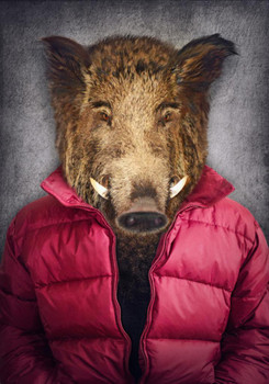 Wild Boar Head Red Vest Wearing Human Clothes Funny Parody Animal Face Portrait Art Photo Cool Wall Decor Art Print Poster 24x36