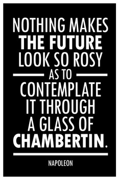 Napoleon Bonaparte Nothing Makes The Future Look So Rosy Black Cool Wall Art Print Poster 12x18
