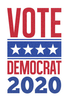 Vote Democrat 2020 Star Banner White Cool Wall Decor Art Print Poster 16x24